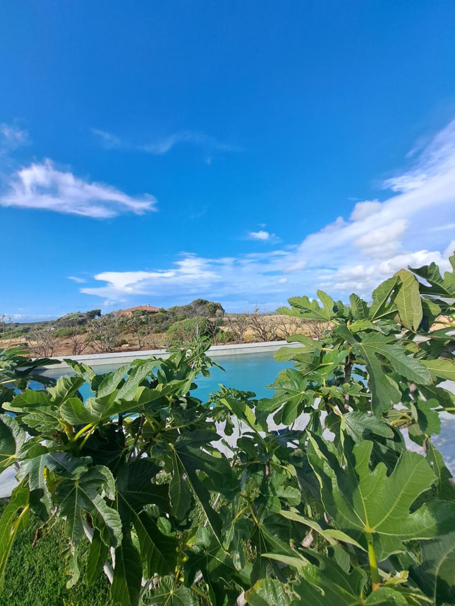 Agriturismo Lu Nodu Greuli Kültér fotó