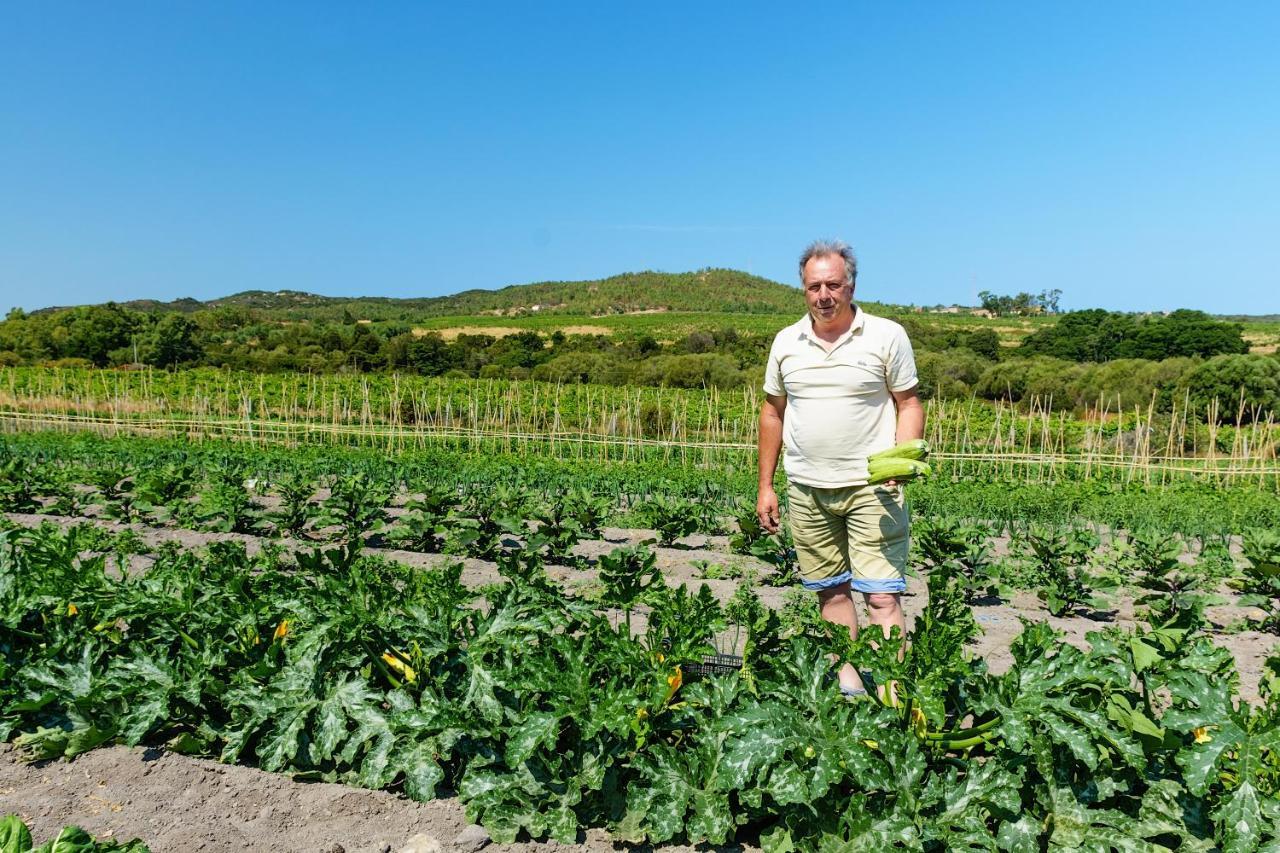 Agriturismo Lu Nodu Greuli Kültér fotó
