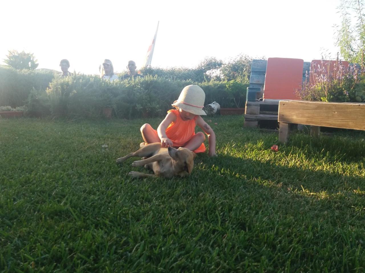 Agriturismo Lu Nodu Greuli Kültér fotó